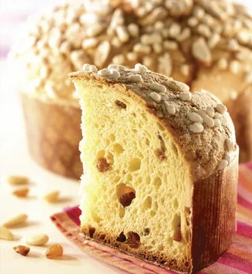 Sabor Panettone